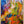 Tablou înramat „Vivid Petal Whispers” de Dorothy Fagan
