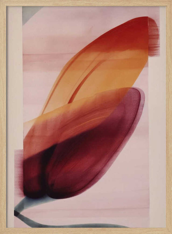 Tablou înramat „Petal Essence” de Treechild