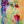 Tablou înramat „Vibrant Blossoms” de Dorothy Fagan