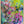 Tablou înramat „Blooming Dreamscape” de Dorothy Fagan