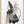 Tablou înramat „Black N Silver 1” de Sally Ann Moss