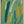 Tablou înramat „Bold Color Brushstrokes” de Little Dean