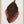 Tablou înramat „Acalypha Tricolor Leaf Illustration” de Les Plantes a Feuillage Colore