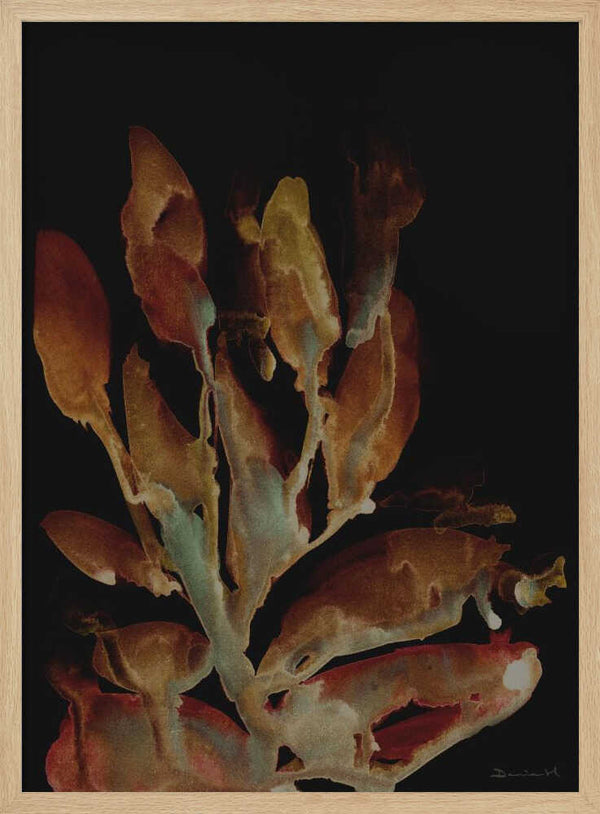 Tablou înramat „Night Plant” de Dan Hobday