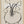 Tablou înramat „Flower decor on a round table” de Little Dean