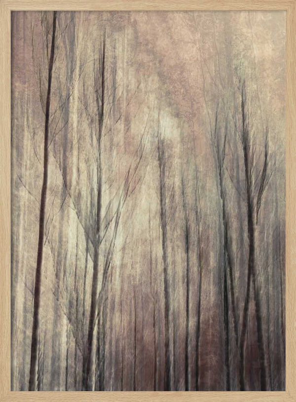 Tablou înramat „Fall forest” de Christina Sillen