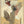 Tablou înramat „Torn Dreams Emerge” de Ute Rathmann