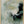 Tablou înramat „Begun” de Dan Hobday