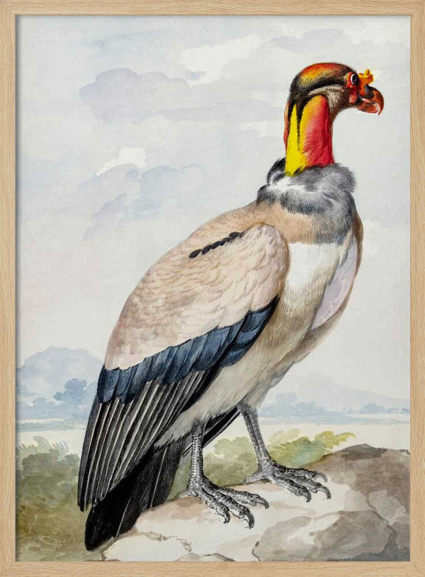 Tablou înramat „Stone Curlew” de Aert Schouman