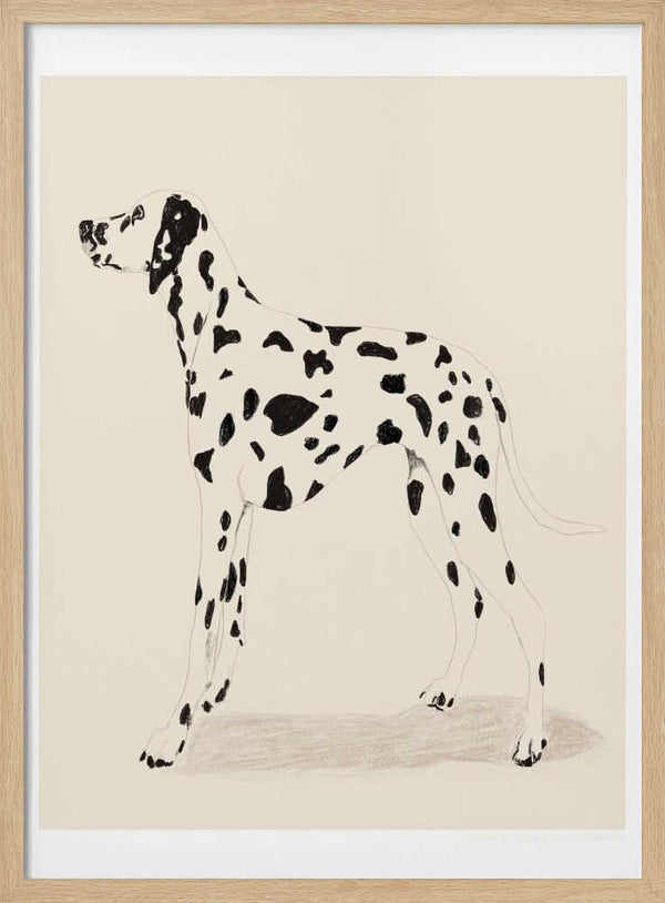 Tablou înramat „Pandc Dalmation” de Jenny Liz Rome