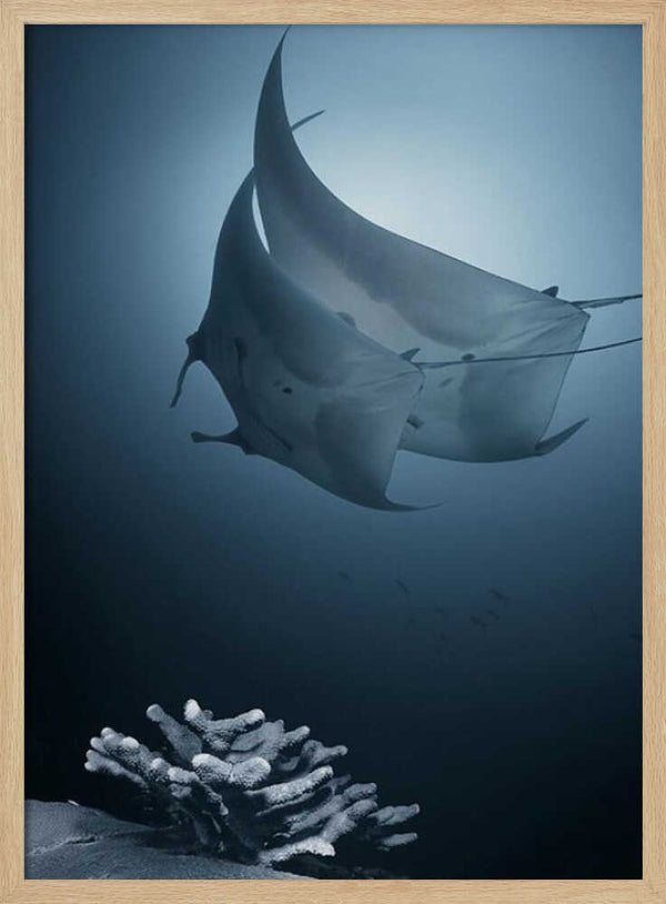 Tablou înramat „Sonata” de Andrey Narchuk