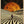 Tablou înramat „Adventures In New Dimensions” de Taudalpoi