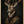 Tablou înramat „Stag Portrait” de Andreas Magnusson
