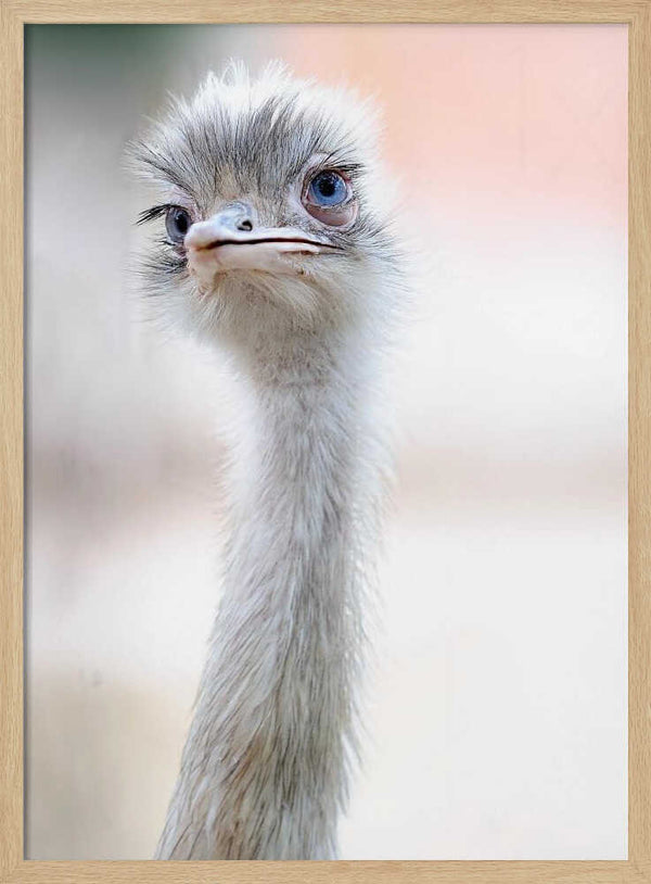 Tablou înramat „natural beauty” de Fulvio Pellegrini