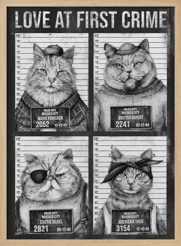 Tablou înramat „Love At First Crime” de Mike Koubou