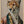 Tablou înramat „Sir Cheetah In Vintage Clothing” de SHANDU