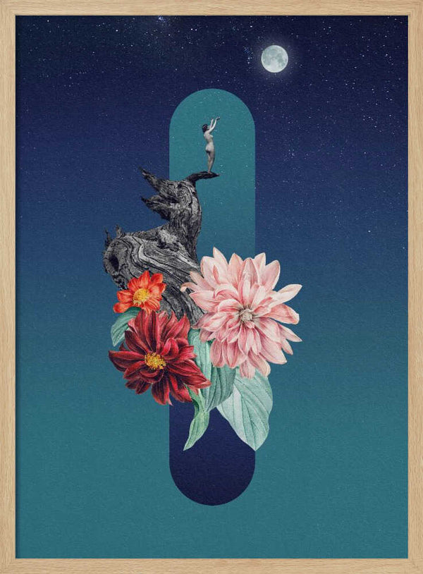 Tablou înramat „Full Moon” de Dominik Przerwa