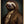 Tablou înramat „Sloth Portrait” de Andreas Magnusson