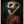 Tablou înramat „Meerkat Portrait” de Andreas Magnusson