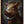 Tablou înramat „Warthog Portrait” de Andreas Magnusson