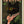 Tablou înramat „Chic Absinthe Cat Alcohol & Cocktail Bar Art” de The Whiskey Ginger