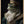 Tablou înramat „Frog Portrait” de Andreas Magnusson