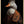 Tablou înramat „Duck Portrait” de Andreas Magnusson