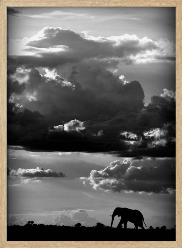 Tablou înramat „He walks under an African Sky” de WildPhotoArt