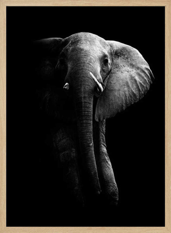 Tablou înramat „Elephant!” de WildPhotoArt