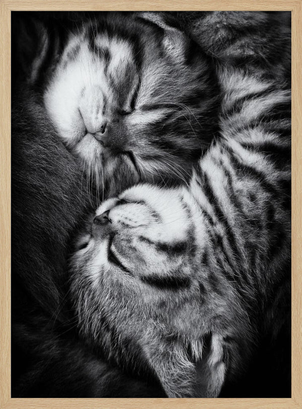 Tablou înramat „Yin and Yang” de Andrea Jancova