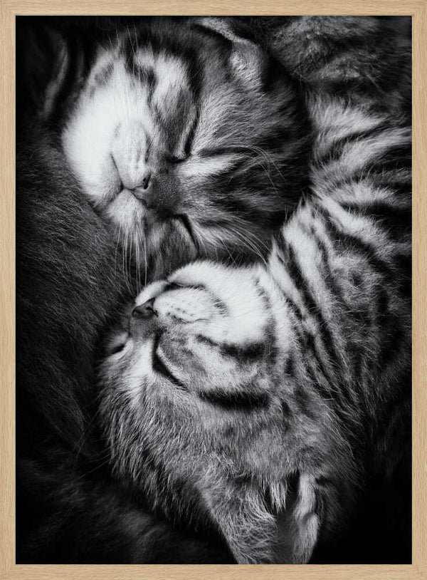 Tablou înramat „Yin and Yang” de Andrea Jancova