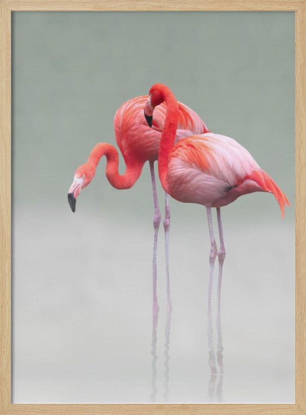 Tablou înramat „just we two ...” de Anna Cseresnjes