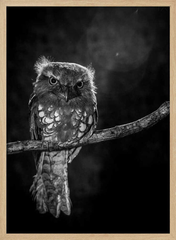 Tablou înramat „Alone in the night” de wilianto