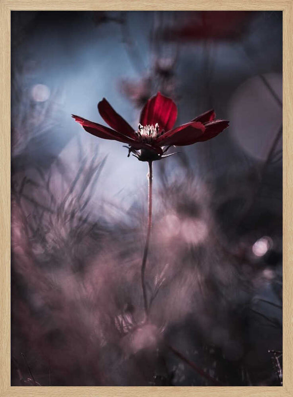 Tablou înramat „Tenue de soirée” de Fabien BRAVIN