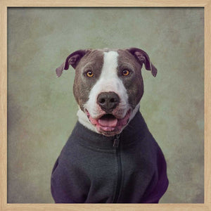 Tablou înramat „Major Good Boy” de Tammy Swarek