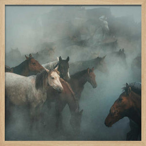 Tablou înramat „lost horses” de Hüseyin Taşkın