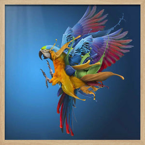 Tablou înramat „Flying Colours” de Sulaiman Almawash