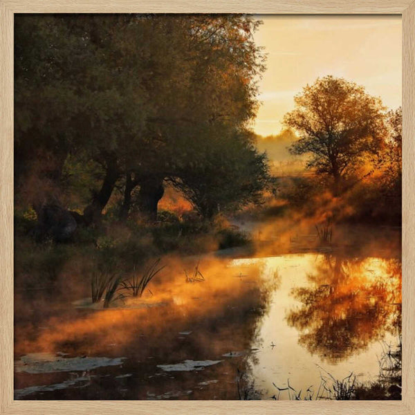 Tablou înramat „When nature paints with light I” de Leicher Oliver