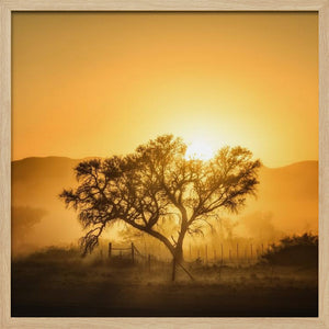 Tablou înramat „Golden Sunrise” de Piet Flour