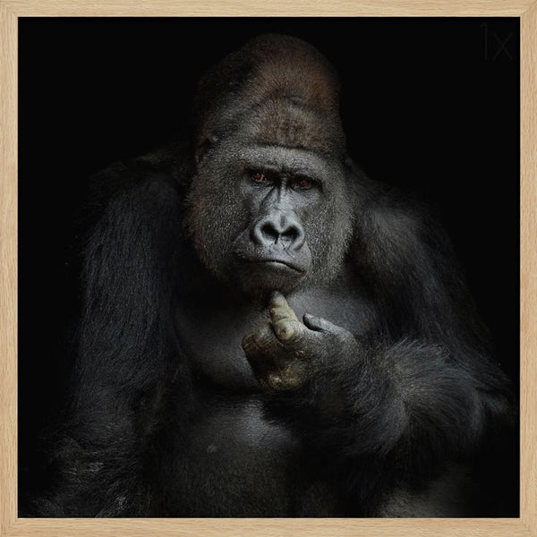 Tablou înramat „IMHO ....” de Antje Wenner-Braun