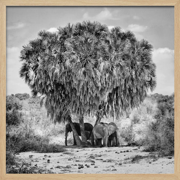 Tablou înramat „Noon meeting” de Marcel Rebro