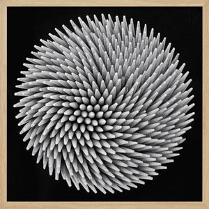 Tablou înramat „hypnosis” de Giorgio Toniolo
