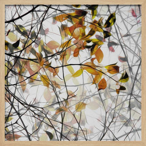 Tablou înramat „autumn song” de Gilbert Claes