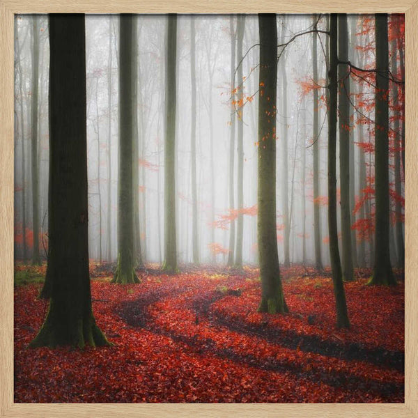 Tablou înramat „Autumnal Tracks” de Carsten Meyerdierks
