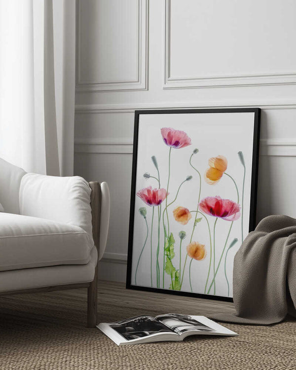 Tablou înramat „Poppies” de Mandy Disher