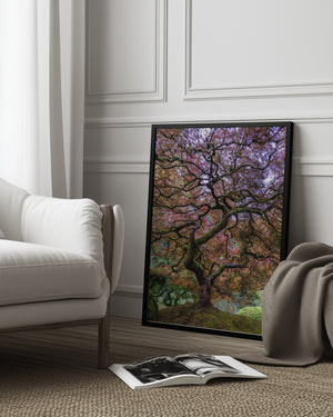 Tablou înramat „Japanese Maple Tree” de Mike Centioli