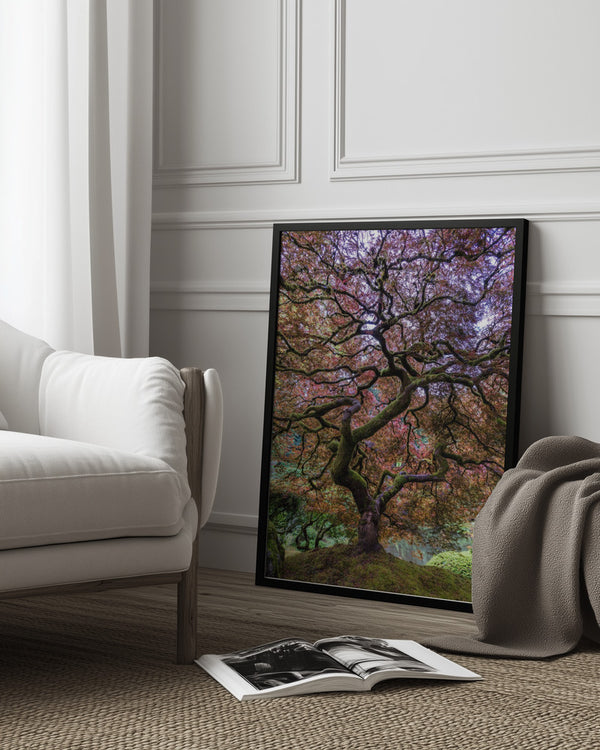 Tablou înramat „Japanese Maple Tree” de Mike Centioli