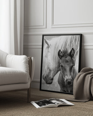 Tablou înramat „The Foal” de Jacky Parker