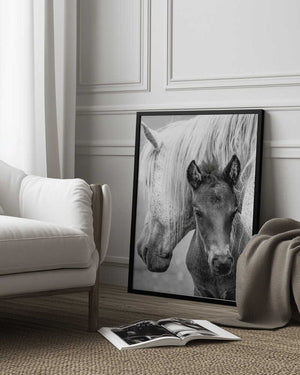 Tablou înramat „The Foal” de Jacky Parker