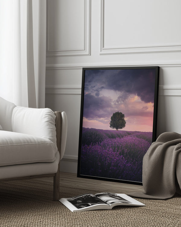 Tablou înramat „Lavender Fields, Isparta” de Cuma Cevik